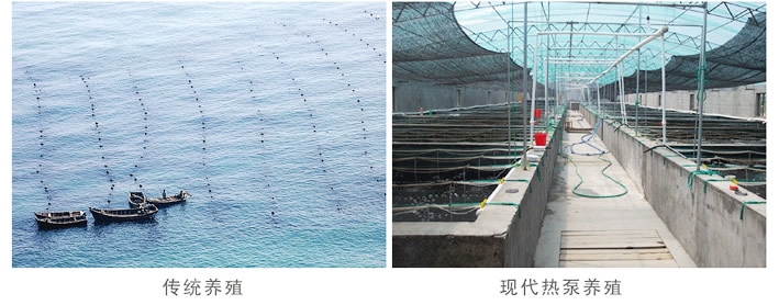 海水养殖专用热泵机组